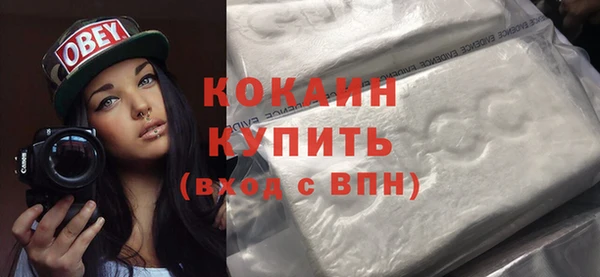 дживик Тобольск
