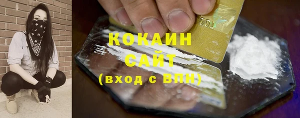 стаф Дмитриев