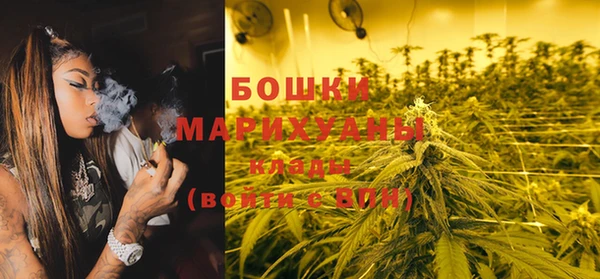 стаф Дмитриев