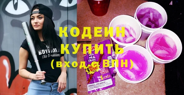 стаф Дмитриев