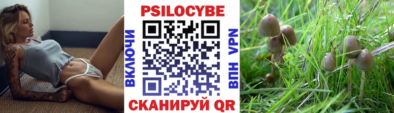 Галлюциногенные грибы Psilocybine cubensis  Купить  Сальск 