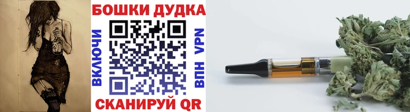 Каннабис индика  Купить закладки  Сальск 